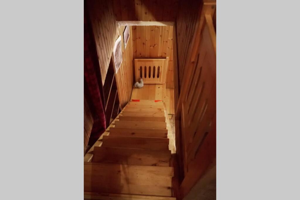 Chalet Indipendente In Centro A Valtournenche Exteriör bild